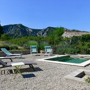 Des Genets Saint-Rémy-de-Provence